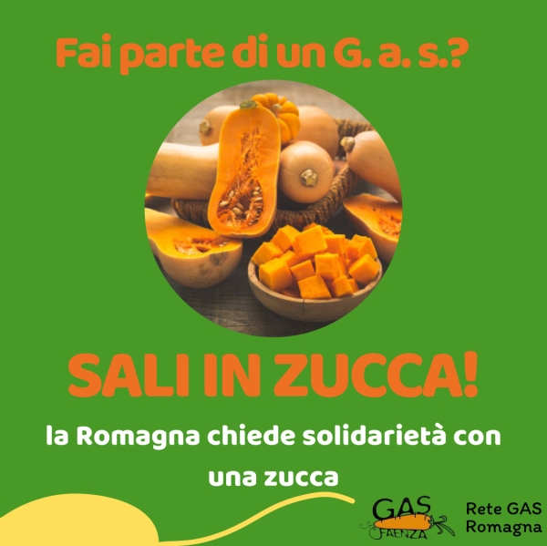 &quot;SALI IN ZUCCA&quot;, al via la campagna di sostegno all’azienda romagnola il Chiusetto