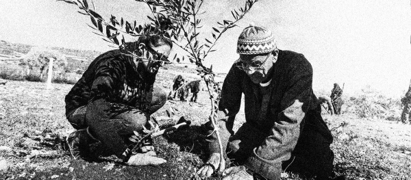 Sosteniamo l'economia delle comunità palestinesi