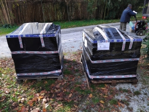 Bilancio delle consegne Pummarola 2025